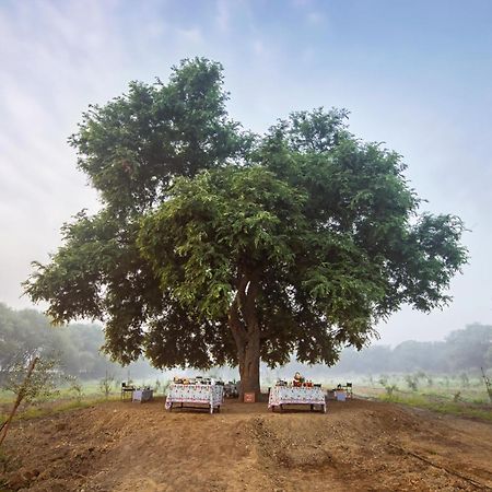 Mela Kothi - The Chambal Safari Lodge Bāh 외부 사진