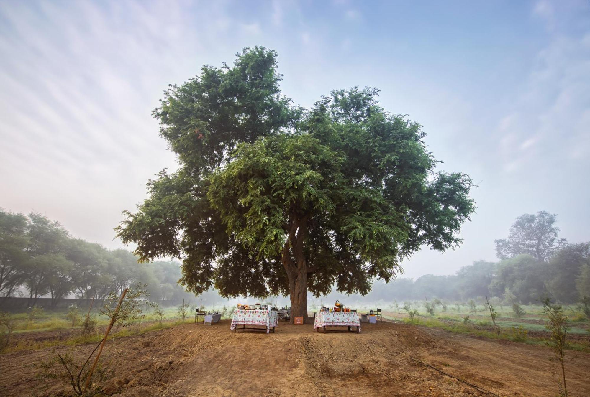 Mela Kothi - The Chambal Safari Lodge Bāh 외부 사진