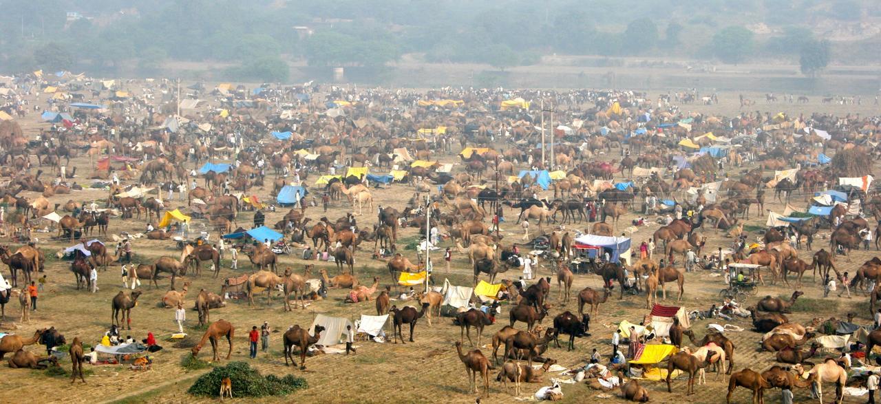 Mela Kothi - The Chambal Safari Lodge Bāh 외부 사진